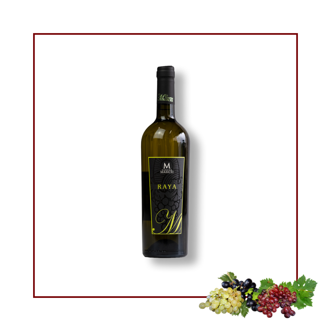 raya vino bianco chardonnay e malvasia Cantina Masicei