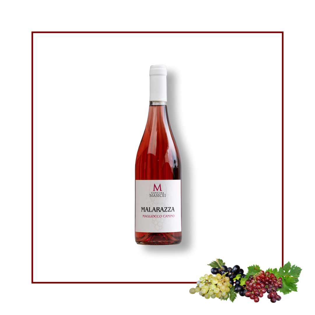 malarazza Magliocco rosato Cantina Masicei