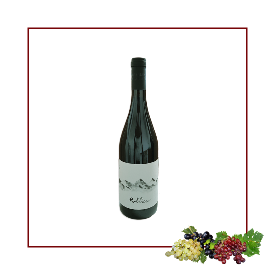 vino rosso Pollino terre di Cosenza dop