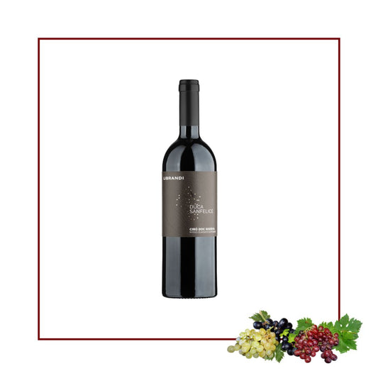 Duca Sanfelice Cirò Riserva DOC Librandi: il miglior Gaglioppo da vecchie vigne. Vino rosso storico, premiato 95/100 Doctor Wine e 4 Viti AIS. Scopri le radici della Calabria!