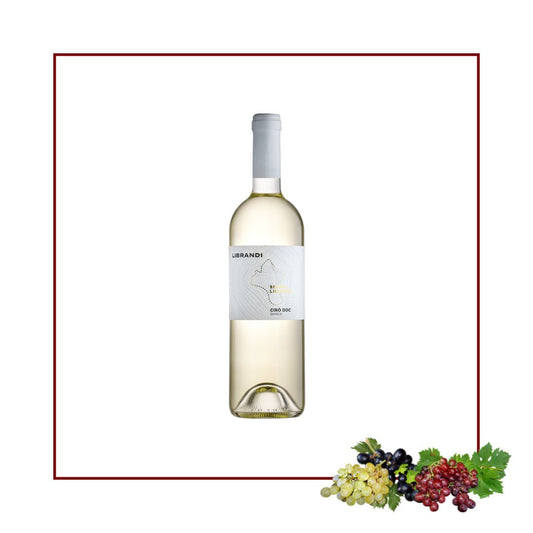 Segno Librandi Cirò Bianco DOC