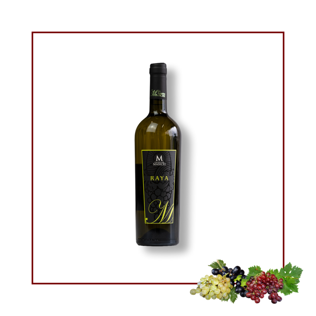 raya vino bianco chardonnay e malvasia Cantina Masicei 